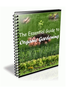 The Essential Guide to Organic Gardening