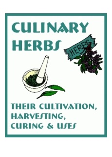 Culinary Herbs