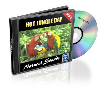 Natural Sounds, Volume 10: Hot Jungle Day