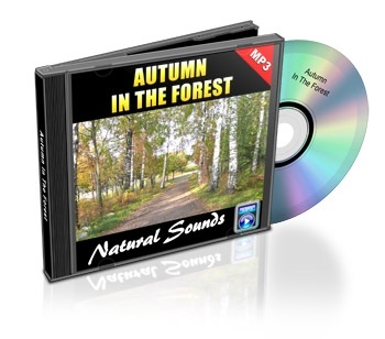 Natural Sounds, Volume 6: Autumn in the Forest