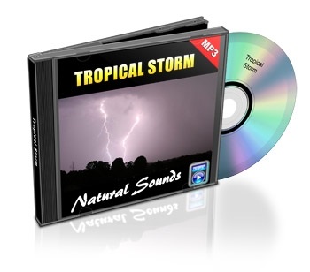 Natural Sounds, Volume 4: Tropical Storm