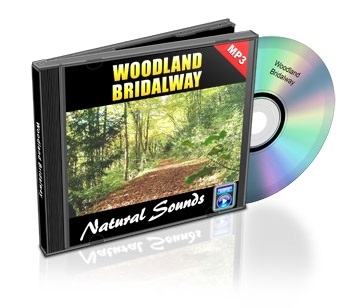 Natural Sounds, Volume 3: Woodland Bridalway